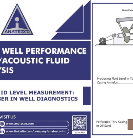 Optimizing Well Performance with SonicAcoustic Fluid Level Analysis